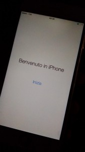 1441476_888499824513722_5378008869918632493_n